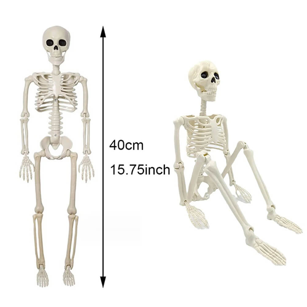 Halloween Dekoration: Människoskelett 40 cm – Realistiskt Skelett för Skrämmande Dekor